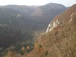 Dolina Prądnika