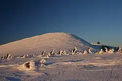Vysoké kolo
