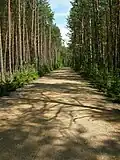 Sobibór Himmelstrasse „Nebeská cesta“