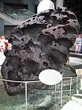 meteorit Willamette