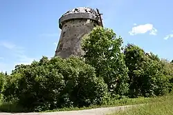 Zagare