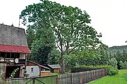 v září 2015