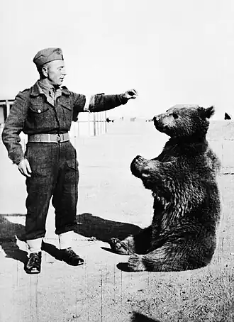 Medvěd Wojtek s polským vojákem