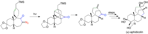 Syntéza (±)-afidikolinu