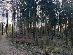 Vrchol Wolfsteinu