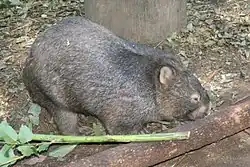 alternativní popis obrázku chybí