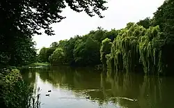 Rybník Wyższy Staw