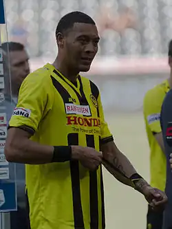 Guillaume Hoarau (2014)