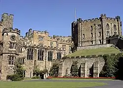 University College