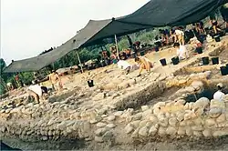 Ša'ar ha-Golan, vykopávky 1998