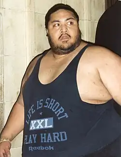 Yokozuna v roce 1995