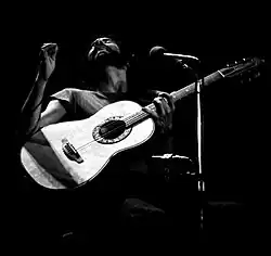 Cat Stevens v roce 1976