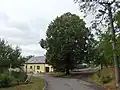 Lípa