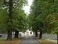 Alej k bráně zámku