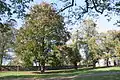 Park