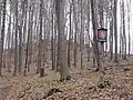 Záskalí (přírodní rezervace)