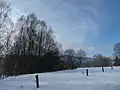 V zimě