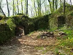 Zřícenina hradu Drahotuš