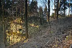 Pozůstatky zdi