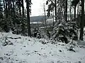 Pohled z Třemošné k Obecnici