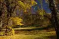 Park