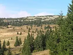 Vrchol hory Zadní Planina