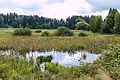 Přírodní památka Trhovokamenické rybníky