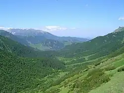 Horní část doliny