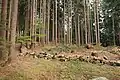Západní svah s kamennou hranicí pozemků