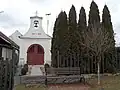 Kaple a zeravy západní