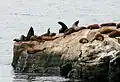 Santa Cruz, Kalifornie