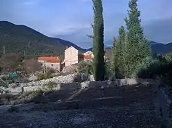 Zamaslina