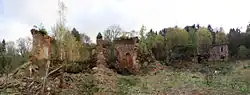 zřícenina zámku Horní Luby (stav v roce 2011)