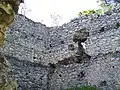 Stěny hradu I