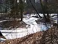 Meandry zamrzlé Pšovky u Hlučova v Kokořínském dole