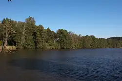 Pohled na hladinu rybníka