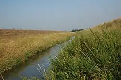Řeka u Hohenau.