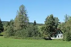 Spálenec