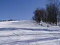 Sjezdovky nad obcí