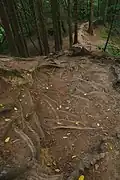 Zelená turistická trasa k propadání
