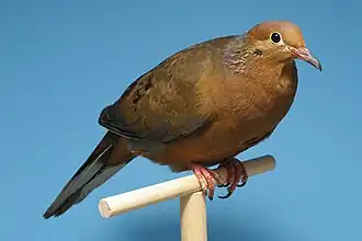 alternativní popis obrázku chybí