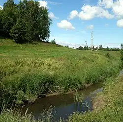 Žiba (2015)