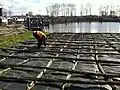 Geokompozit (hať): Mříž z rákosu svázaná s geotkaninou (na řece Hollandse IJssel 2014)