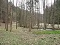 Údolí Zlatníku pod Lhotkou