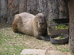 ZooParkStropkov1