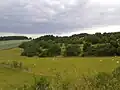Přírodní rezervace Zouvalka
