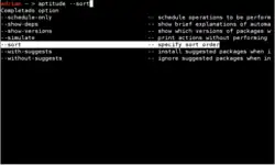 Screenshot zsh