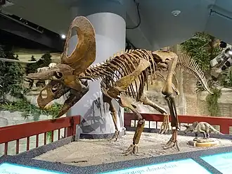 alternativní popis obrázku chybí