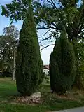 Zvíkov (ČK), místo, kde távala boží muka (01).jpg