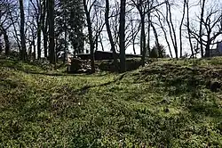 Zvole (u Prahy) - tvrziště severně od čp. 7 (4).jpg
